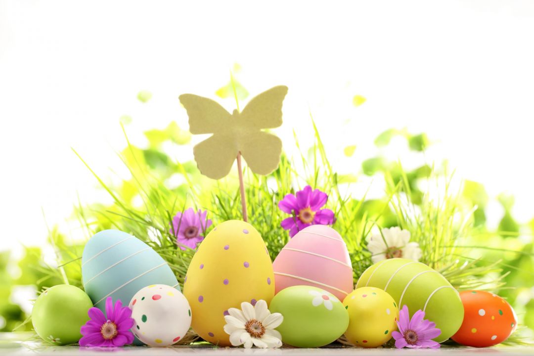 Android, Iphone, Desktop Hd Backgrounds / Wallpapers - Happy Easter Friends - HD Wallpaper 