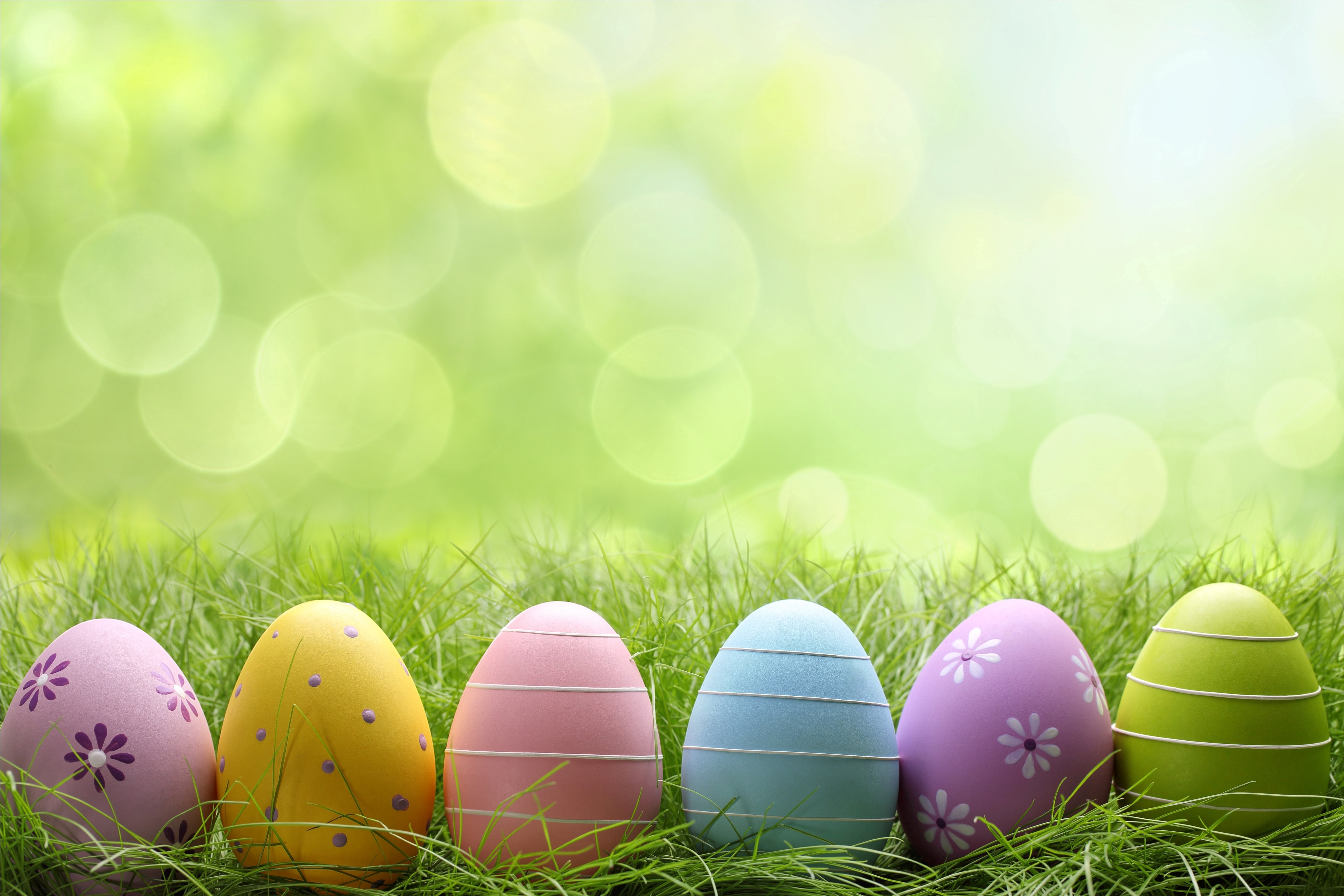 Easter Eggs In Grass - HD Wallpaper 