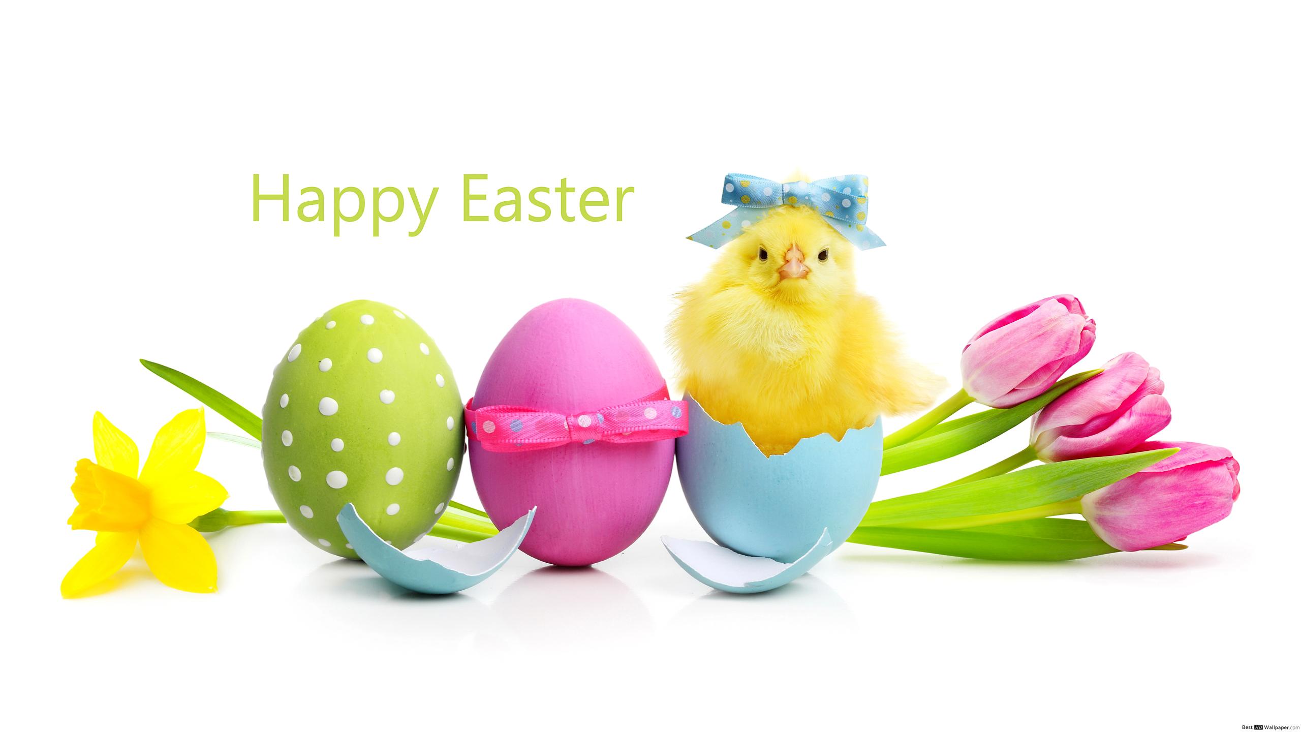 Easter - HD Wallpaper 
