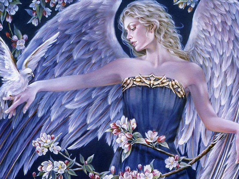 Angel Of Love Wallpaper - 3d Angels In Love - HD Wallpaper 