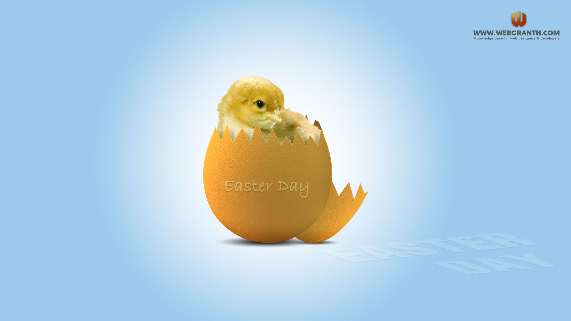 Easter Chicks - HD Wallpaper 