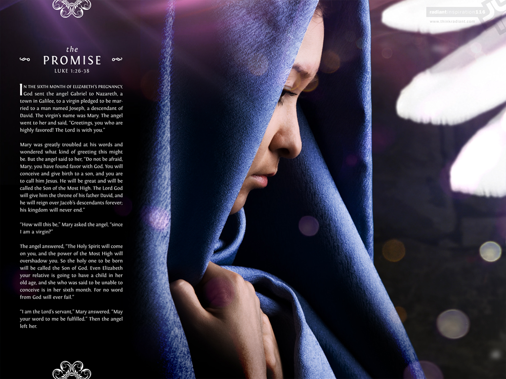 Mt. Shasta Weed Golden Ale - HD Wallpaper 