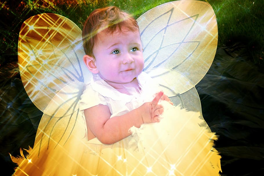 Angel, Kid, Child, Wings, Toddler, Childhood, Cute, - Toddler - HD Wallpaper 