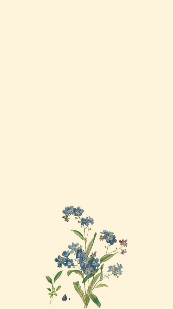 Aesthetic Blue Flower Png - HD Wallpaper 