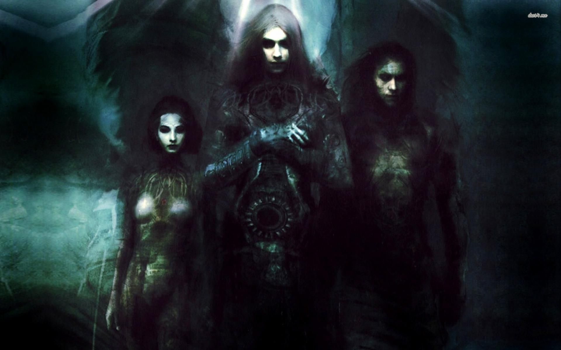 Wallpaper - HD Wallpaper 