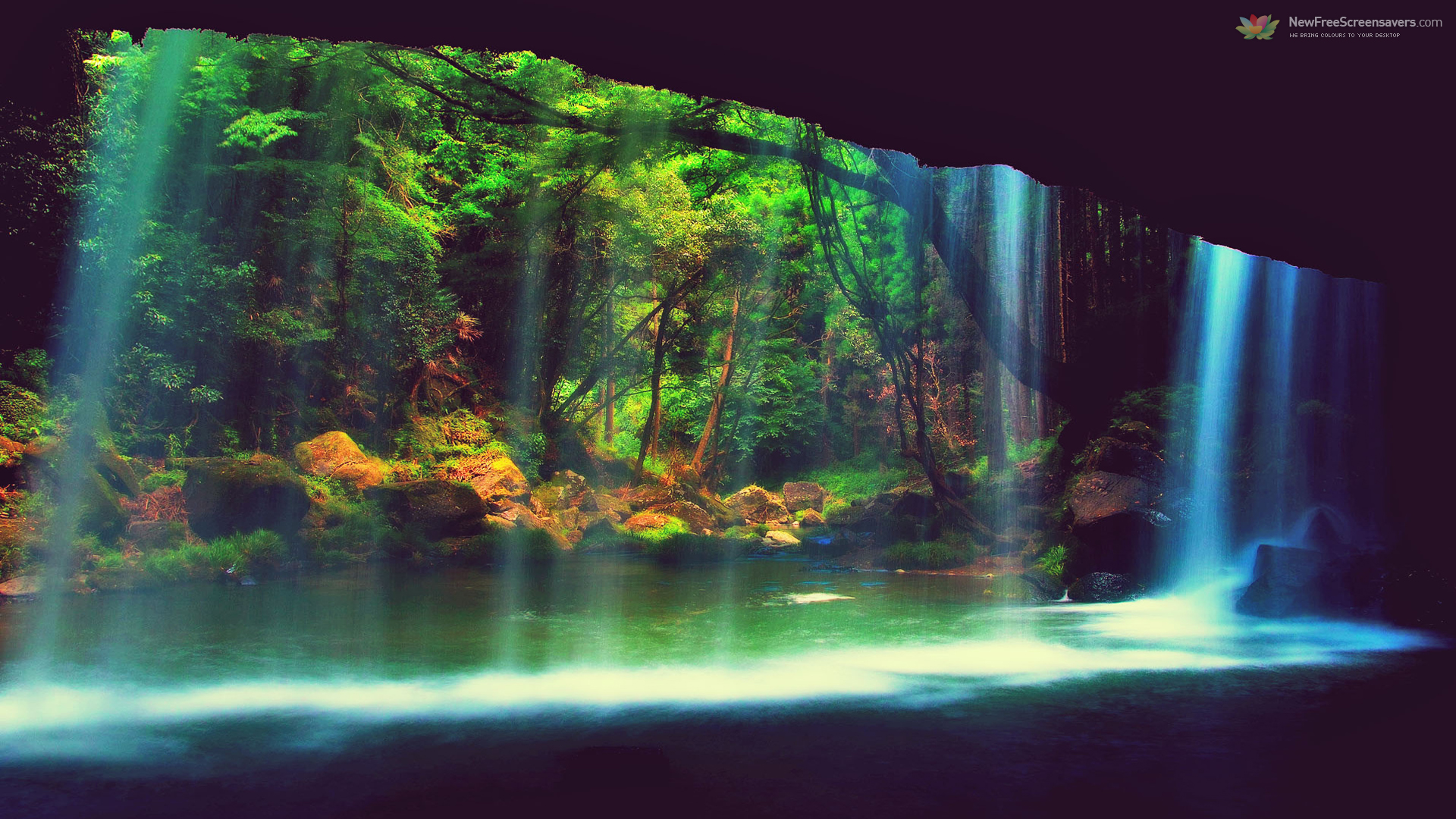 Wallpaper - HD Wallpaper 