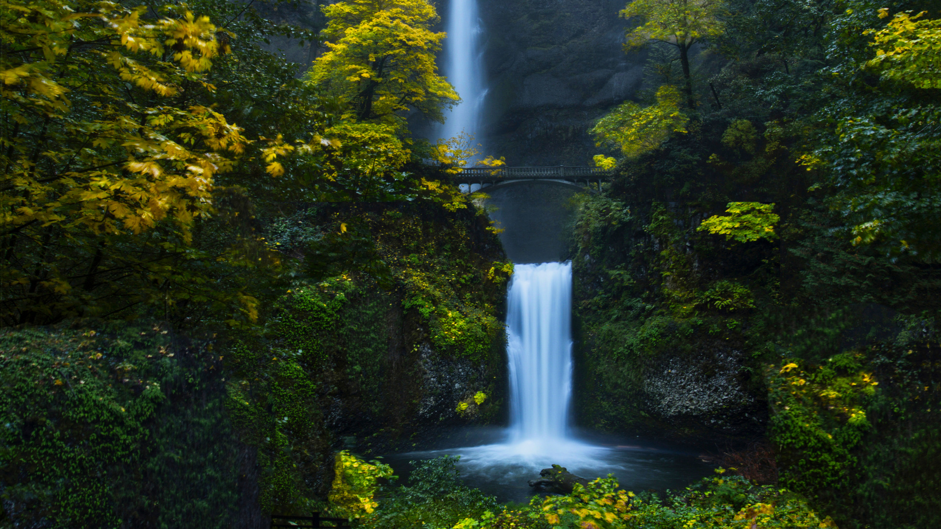 Waterfall In A Forest - HD Wallpaper 