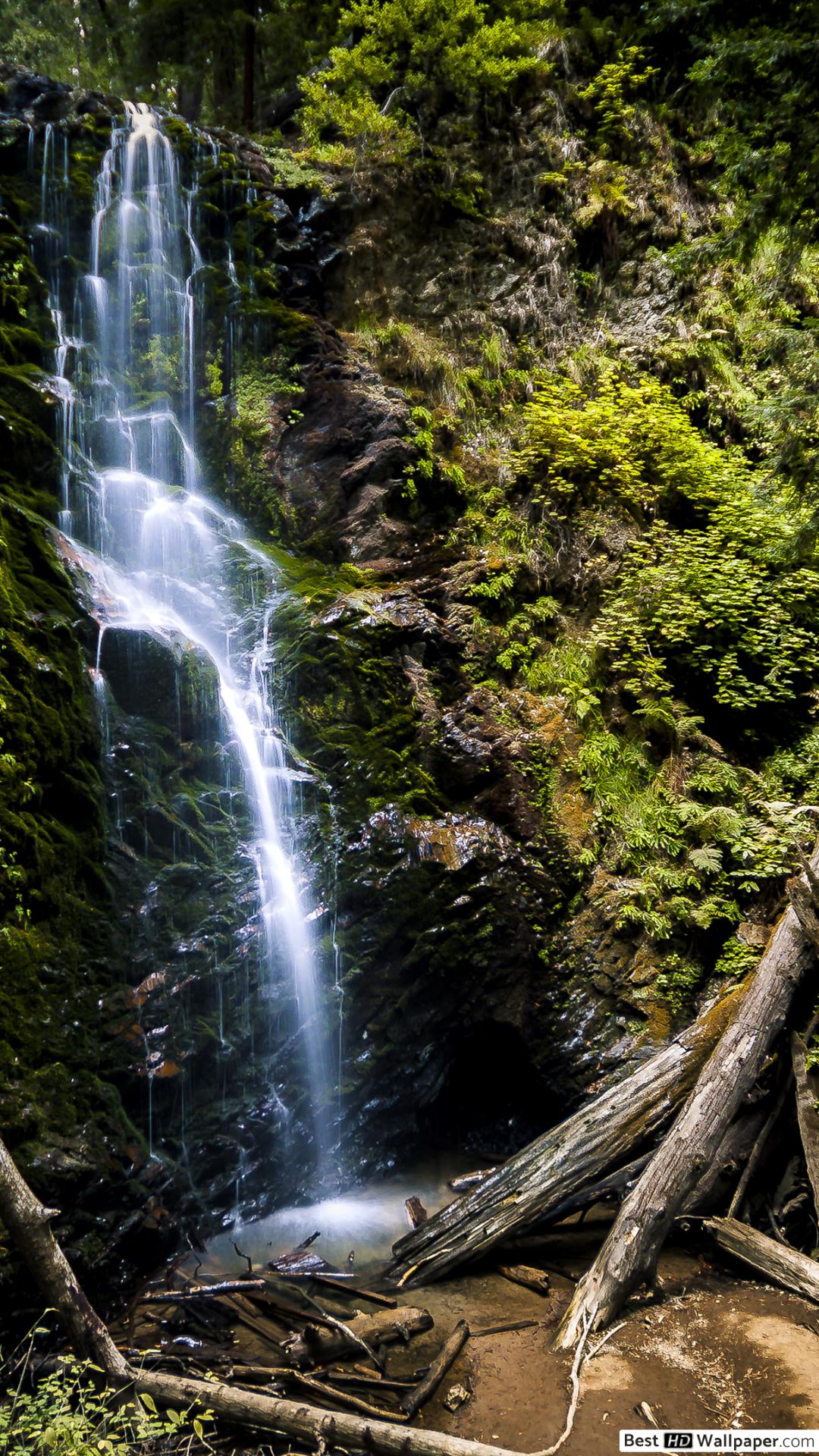 Big Basin Redwoods State Park, Berry Creek Falls - HD Wallpaper 