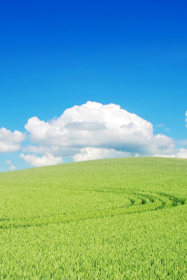 Fondos Paisaje Verde - HD Wallpaper 