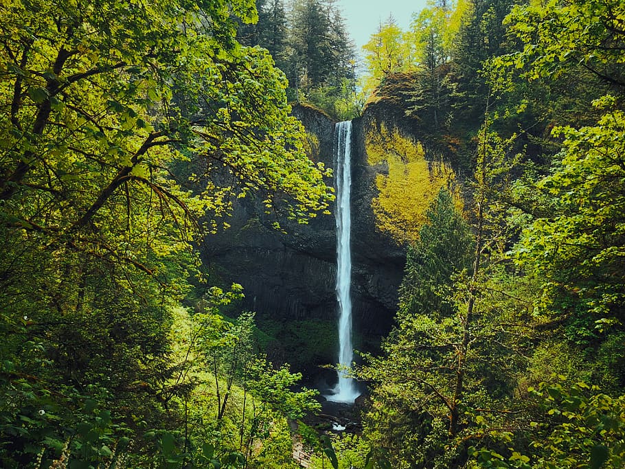 United States, Corbett, Latourell Falls Trail, Oregon, - HD Wallpaper 