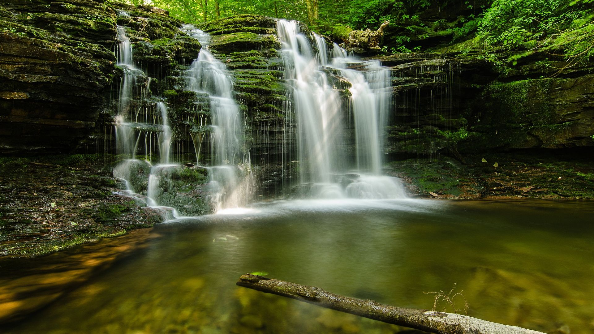 Amazon Com 24x36 Rainforest Waterfall Art Poster Print - HD Wallpaper 
