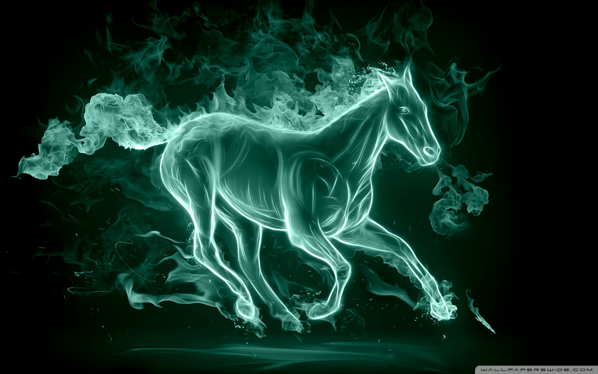 Horse Wallpaper Full Hd - HD Wallpaper 