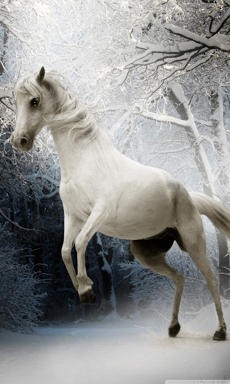 Beautiful Hotse Photographs - HD Wallpaper 