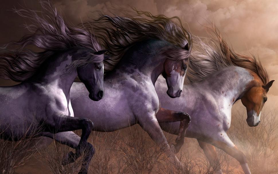 Three Horses Running, Grass Wallpaper,three Hd Wallpaper,horses - HD Wallpaper 