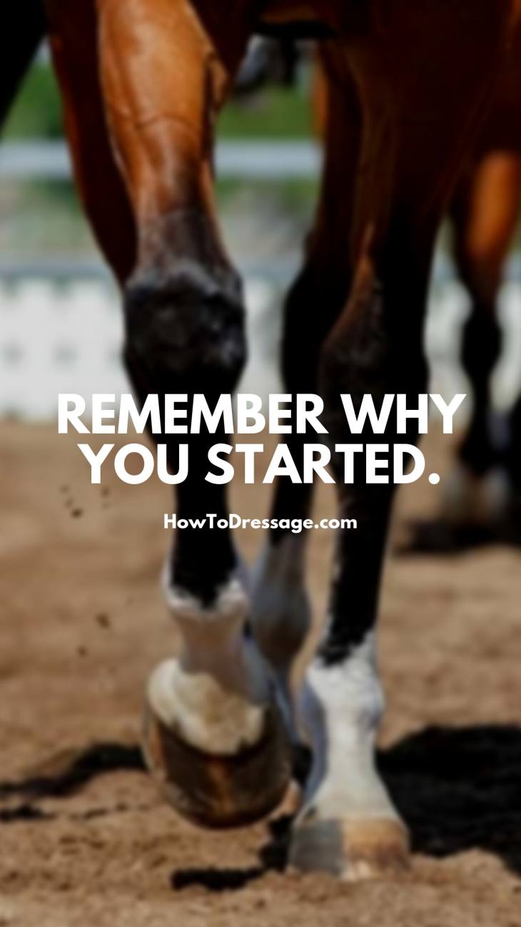 Remember Why You Started Horses Legs - HD Wallpaper 