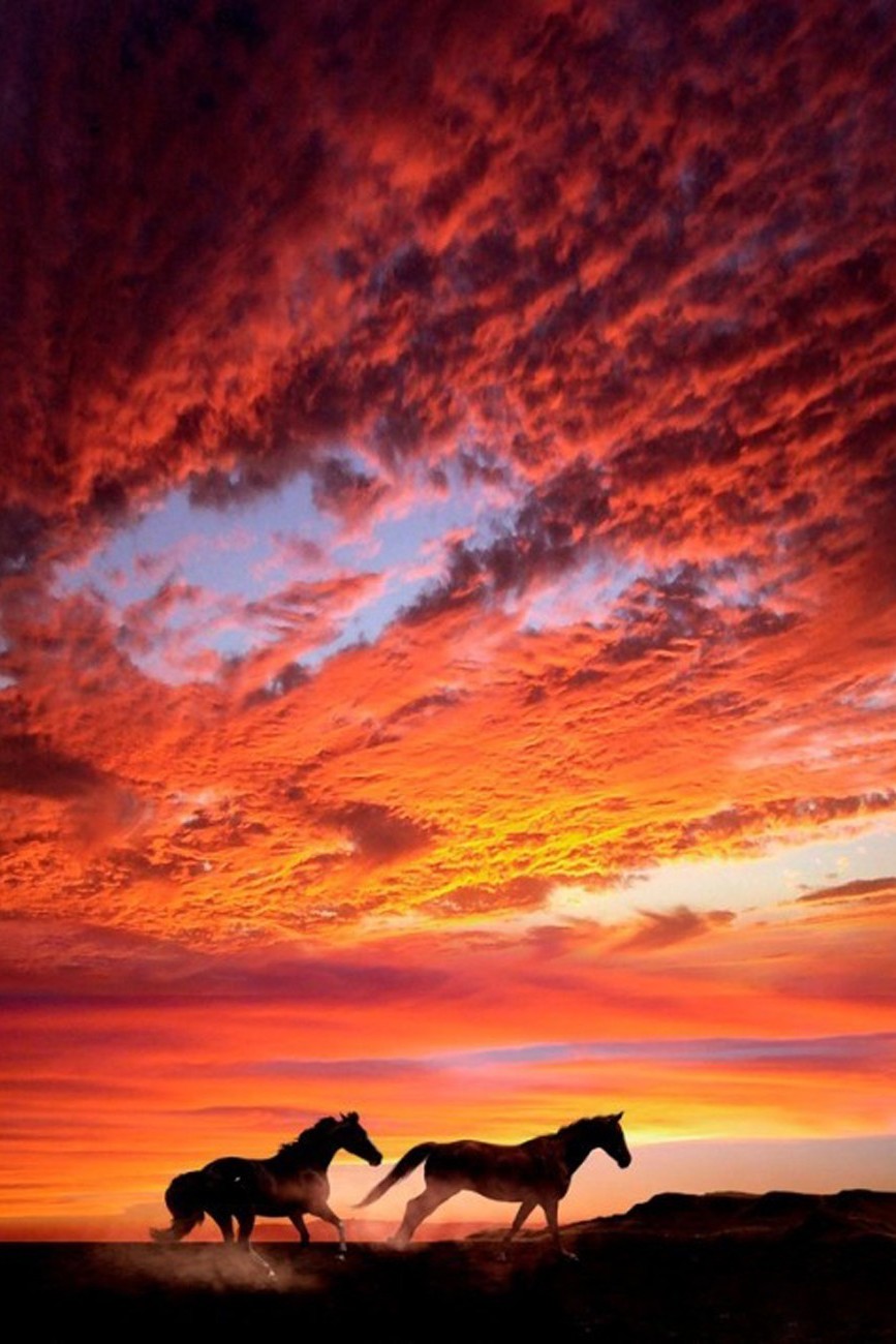 Sunset Horses Clouds - Beautiful Sunset Horse - HD Wallpaper 