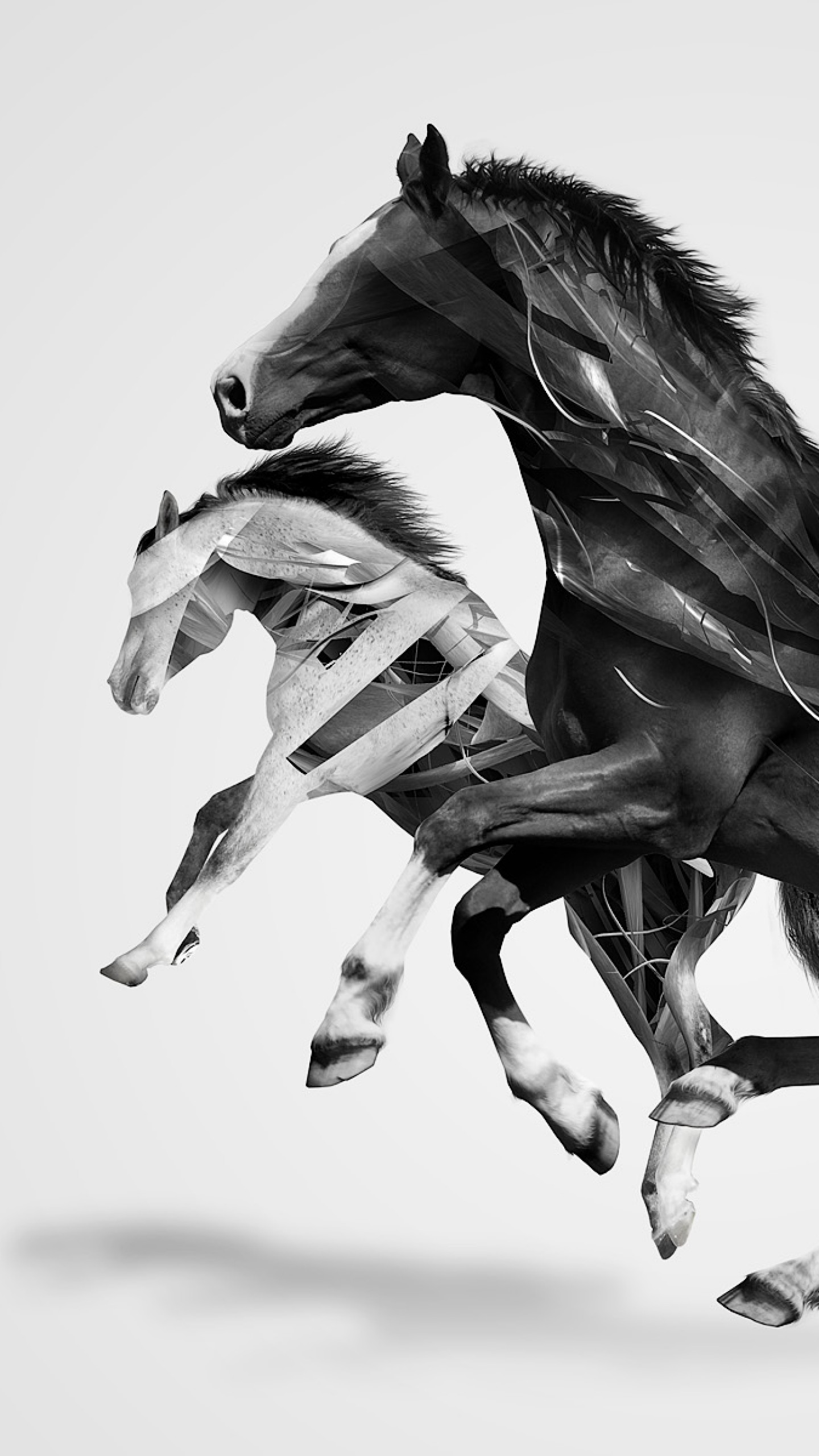 Horse Wallpaper Geometric - HD Wallpaper 
