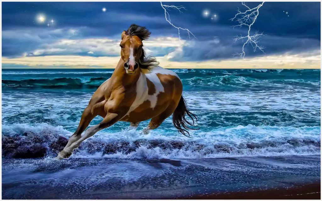 خلفيات بحر للفوتوشوب - HD Wallpaper 