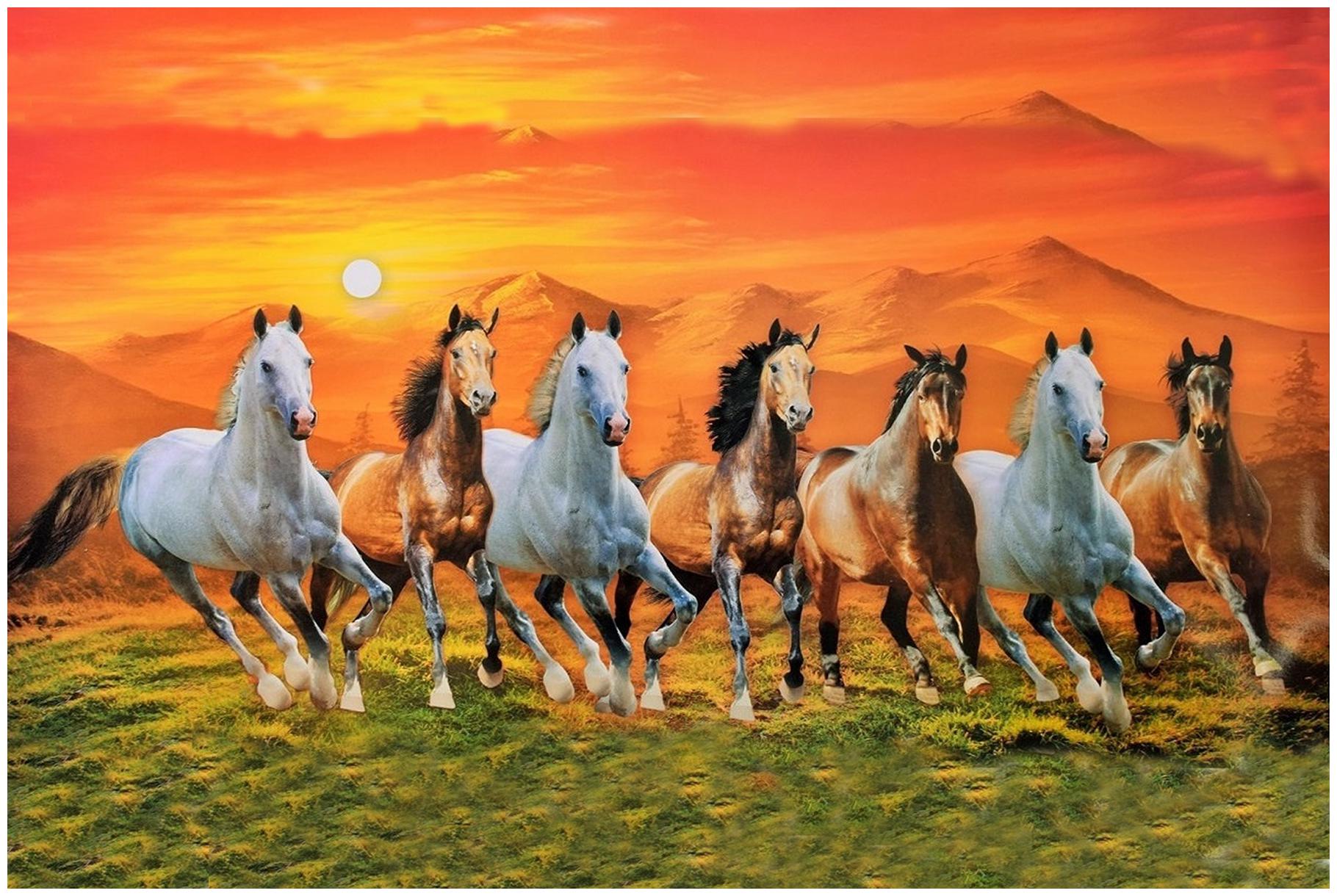 Running Horses With Frame - HD Wallpaper 