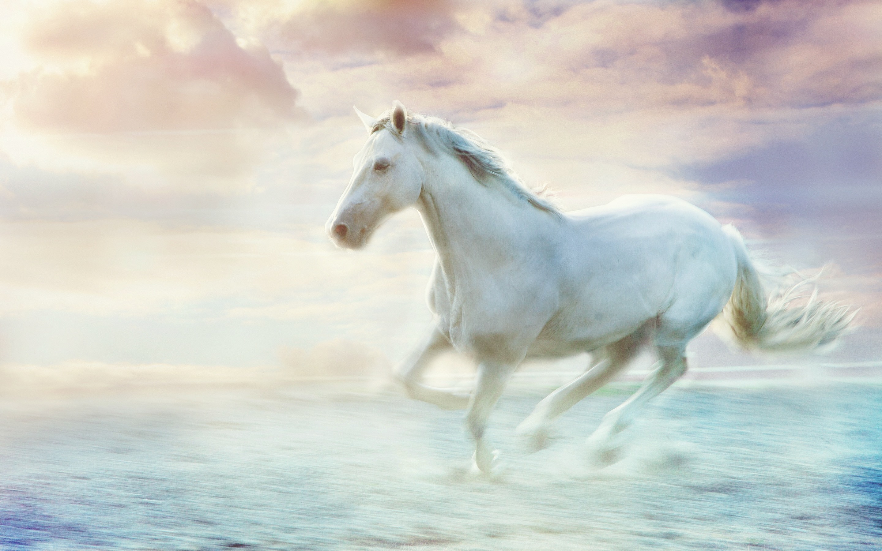 Wallpaper White Horse Running, Water, Art Picture - White Horse Running In  Water - 2880x1800 Wallpaper 