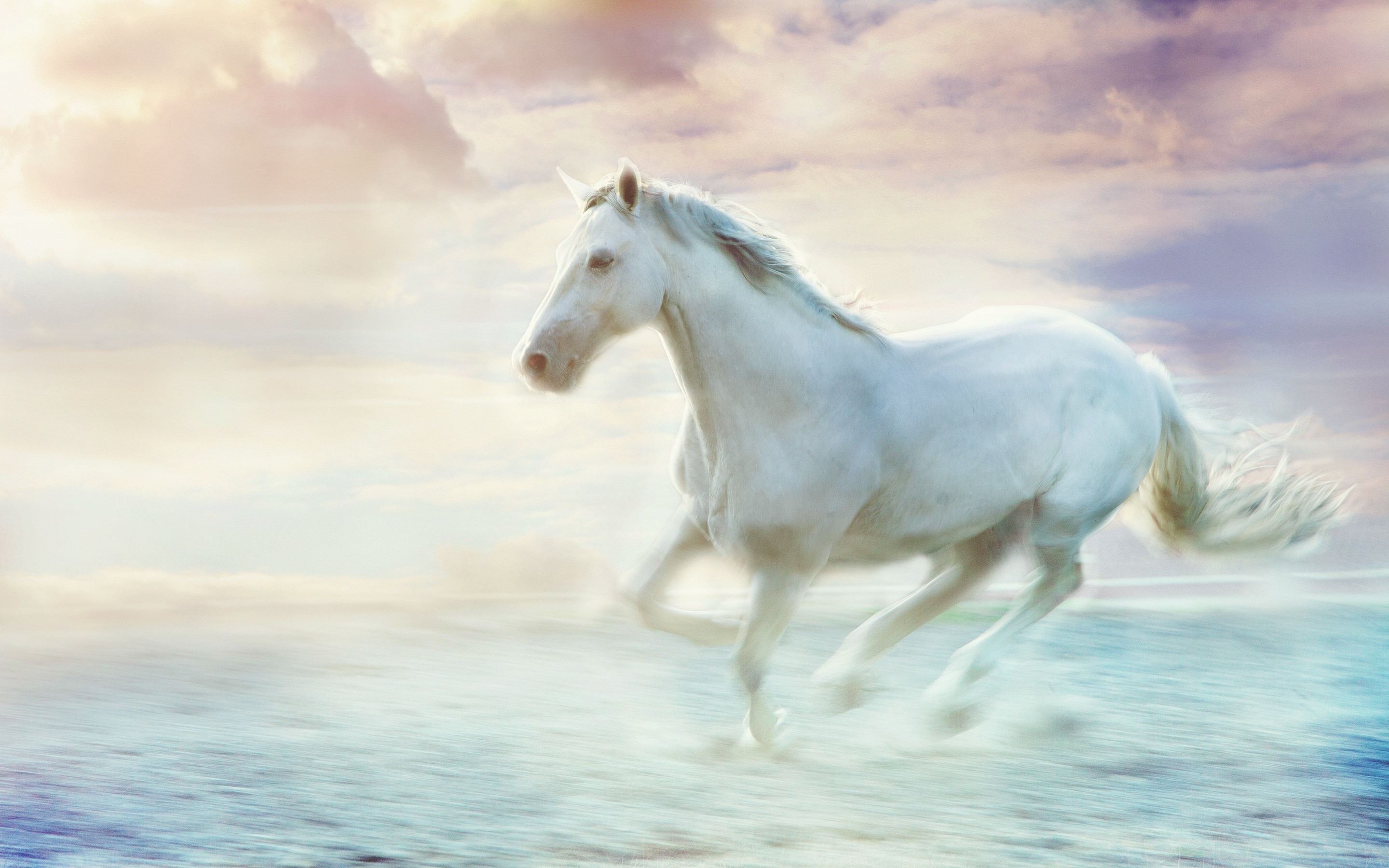 Wallpaper White Horse Running, Water, Art Picture - White Horse Running In Water - HD Wallpaper 