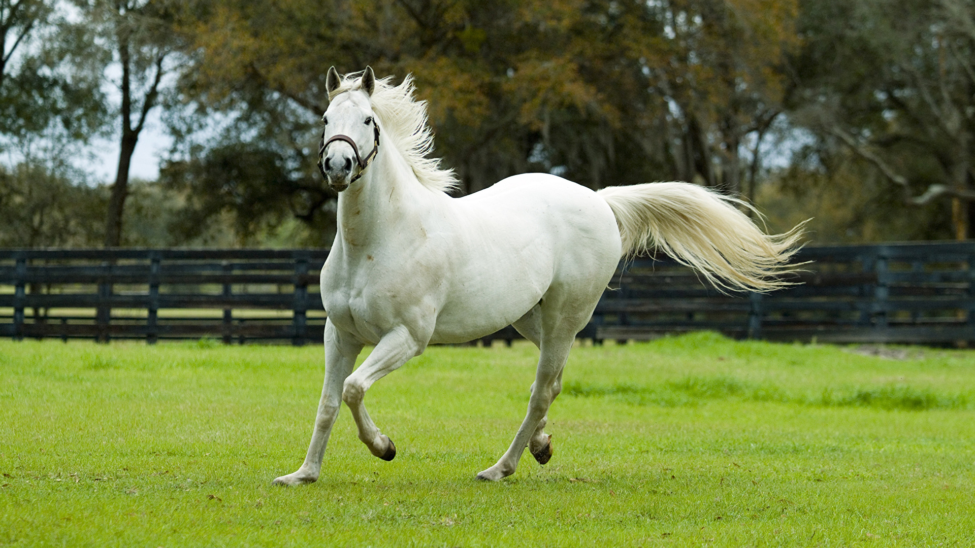 Family Background Images For Photoshop - HD Wallpaper 