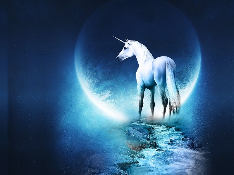 Fantasy Horse Hd Background Wallpaper - Unicorn That Look Real - HD Wallpaper 