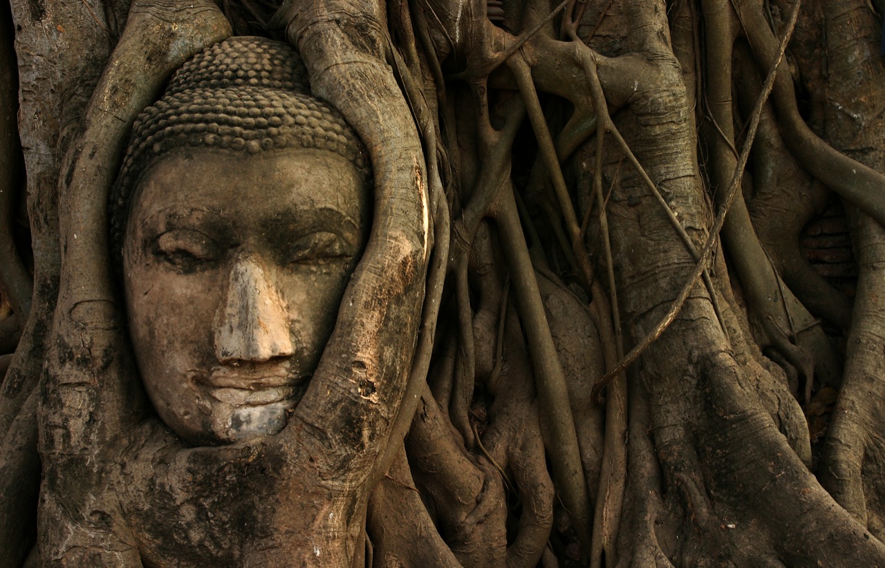 Buddha Wallpapers For Phone - Phra Nakhon Si Ayutthaya - HD Wallpaper 