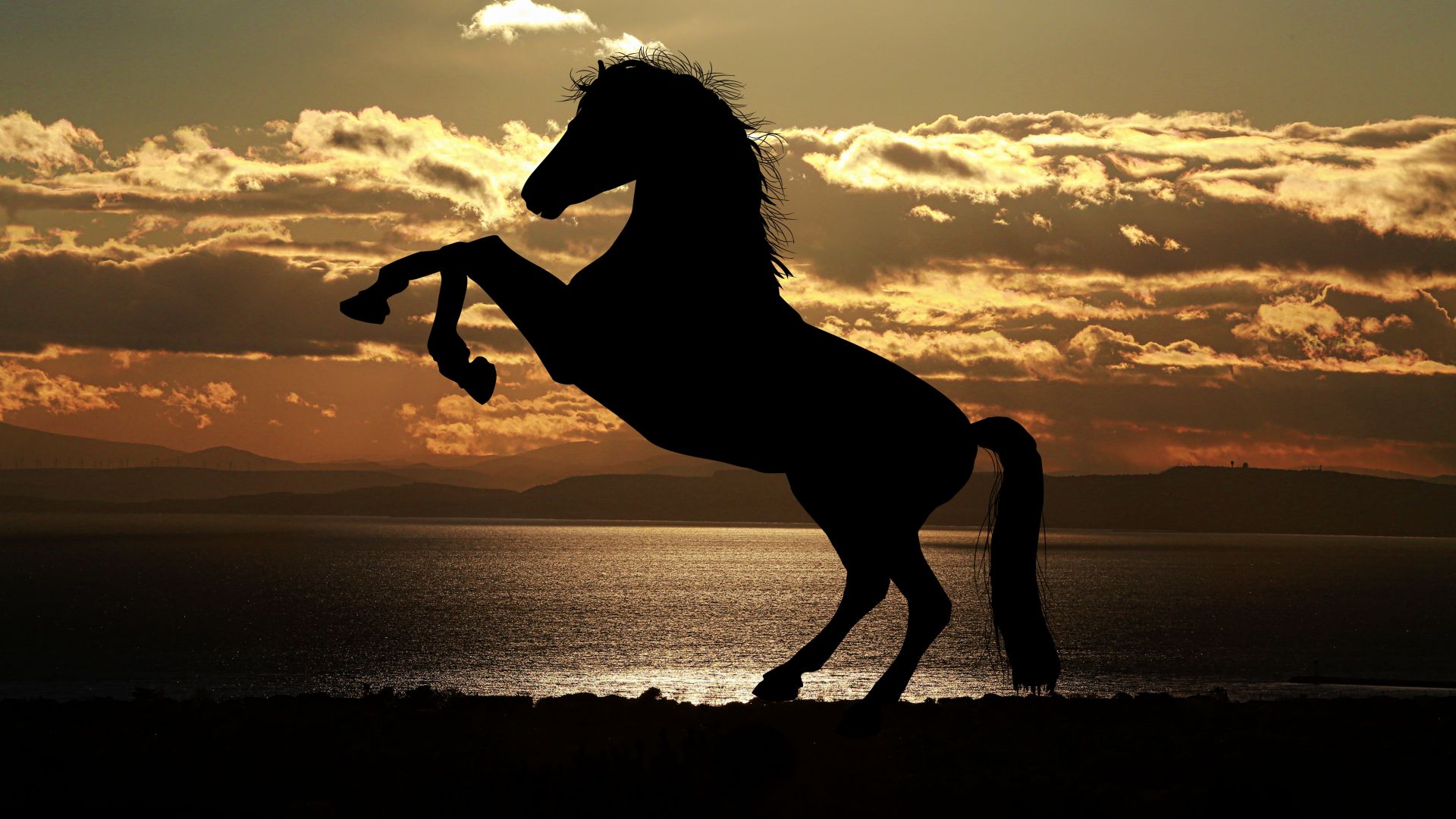 Horse Silhouette Sunset Image Wallpaper - Horse Cinematic - HD Wallpaper 