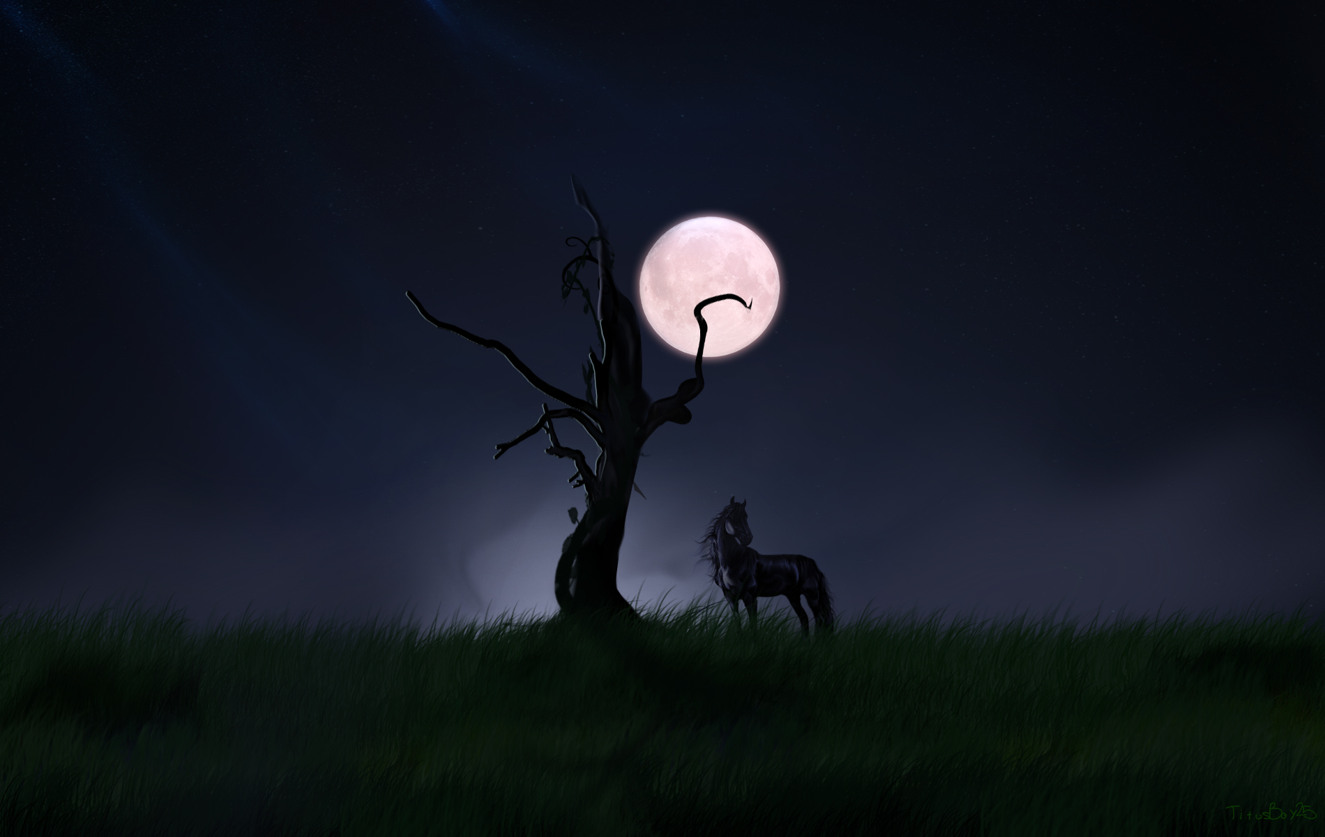 Horse In Landscape Night Wallpaper Hd Wallpaper - Horses In Night Landscape - HD Wallpaper 