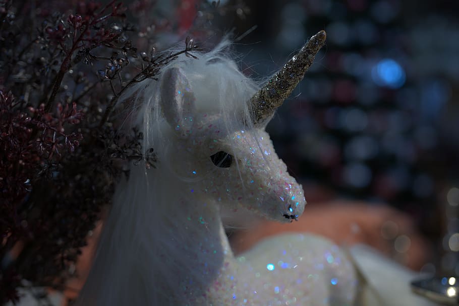 Unicorn, Horn, Fable, Horse, Magic, Lucky Charm, Cute, - Scotland Having Unicorns - HD Wallpaper 