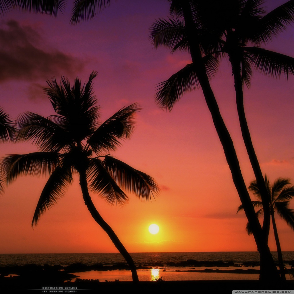Tropical Sunset Wallpaper Iphone - 1024x1024 Wallpaper 