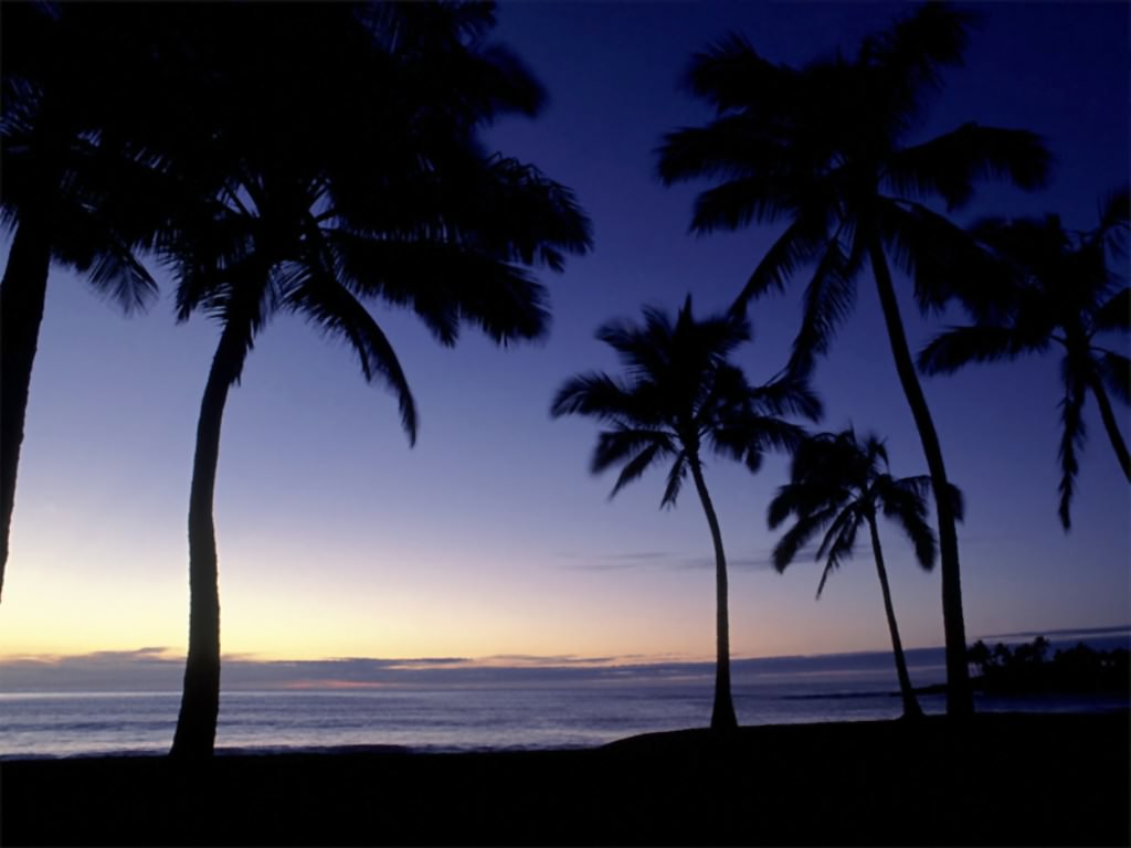 Mokoliʻi - HD Wallpaper 
