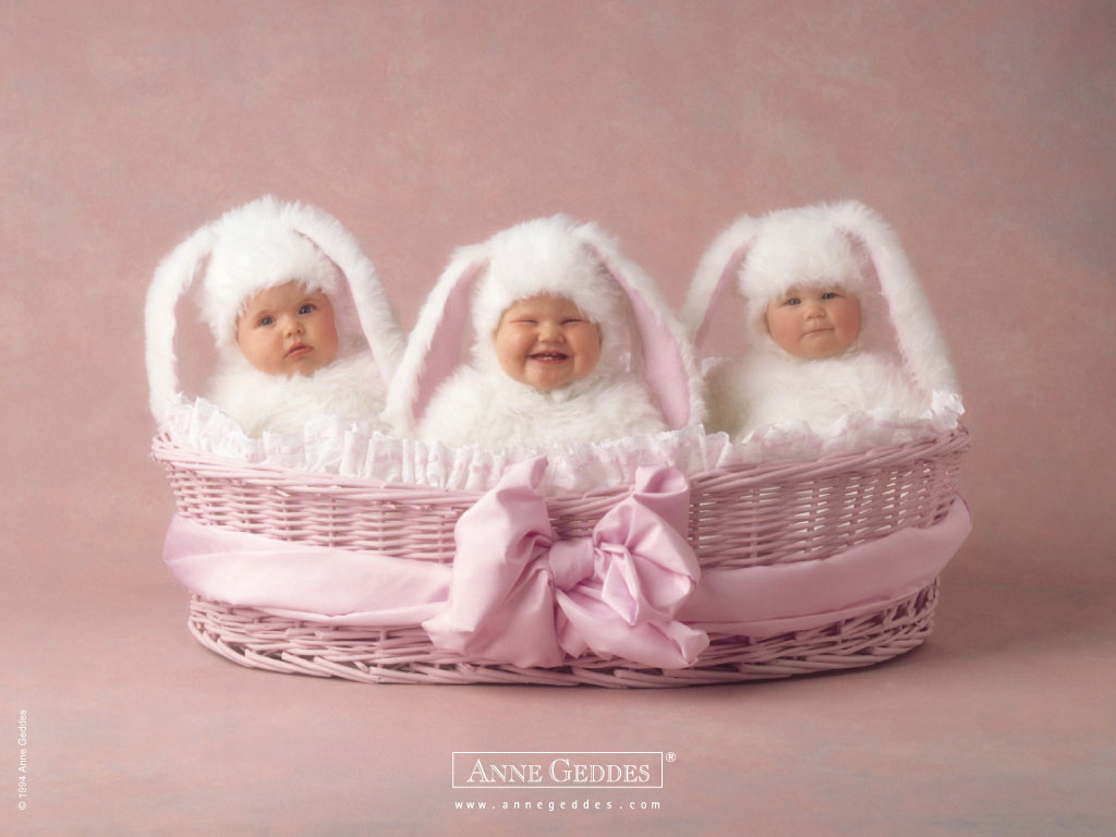 Fairy Cute Babies409489304 - Anne Geddes - HD Wallpaper 