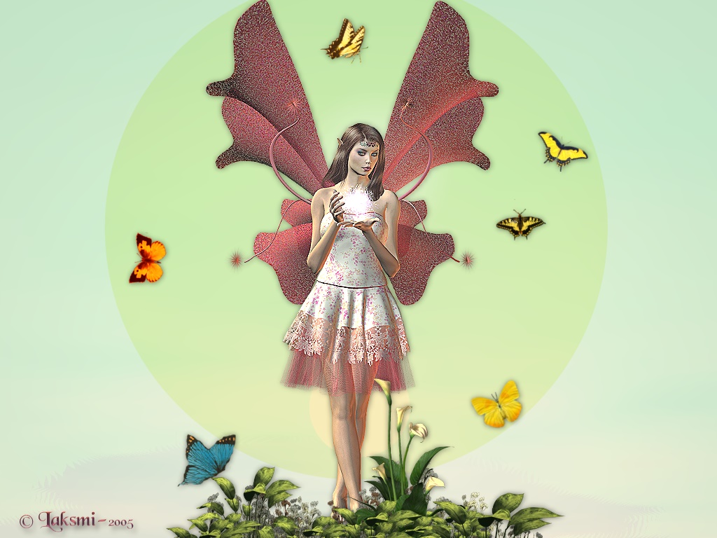 Fairy - HD Wallpaper 