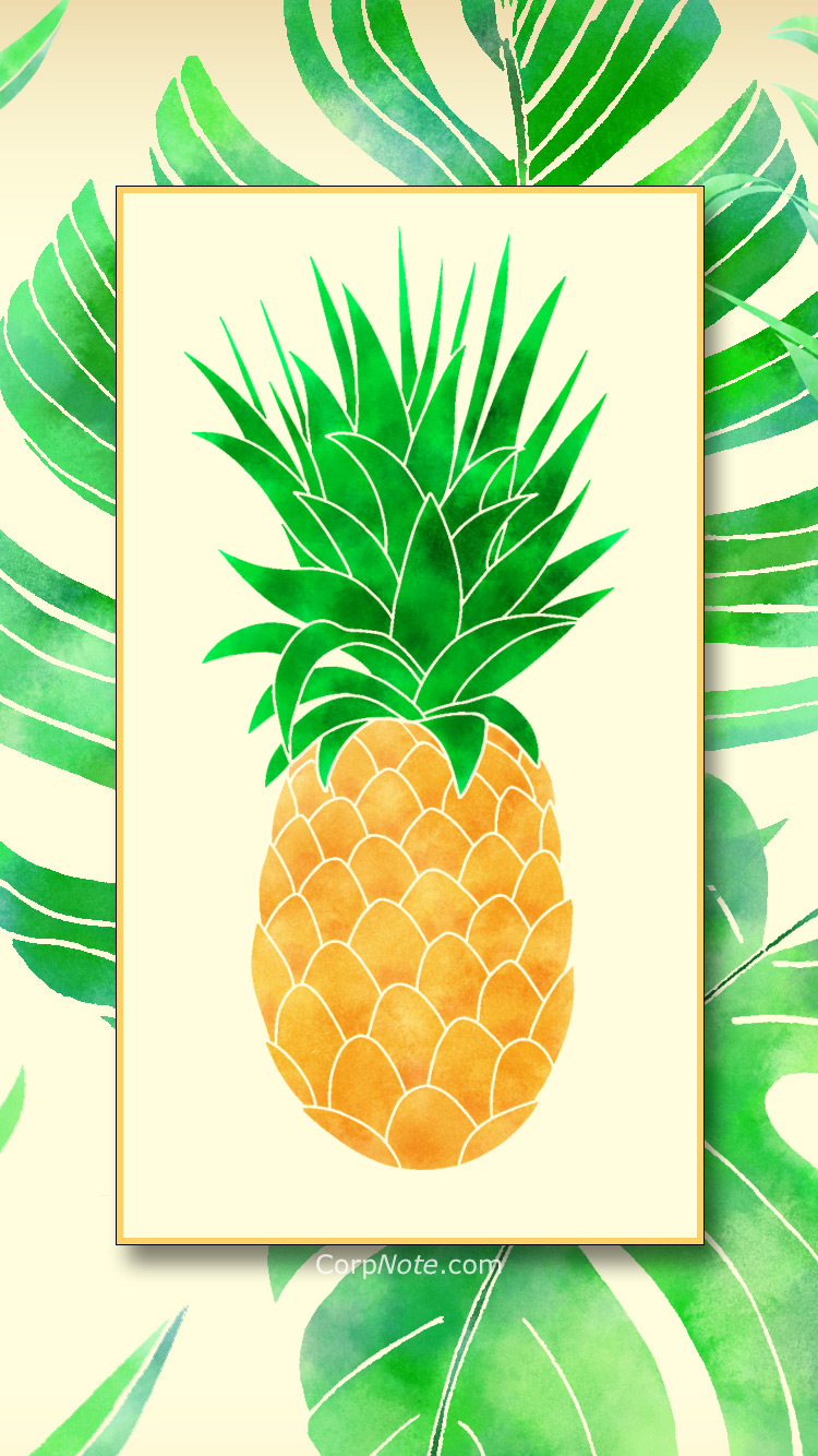 Pineapple - HD Wallpaper 