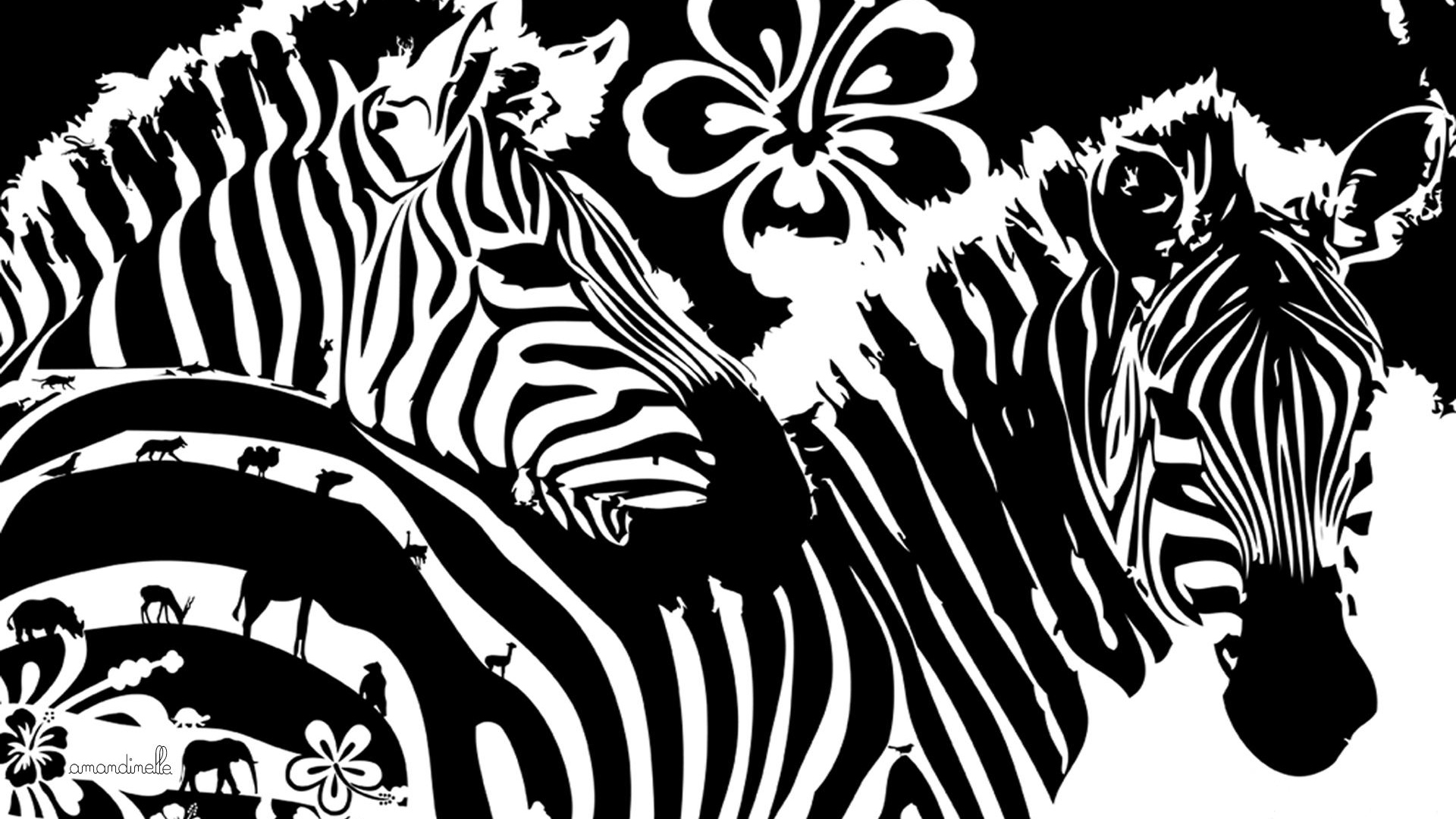 Wallpaper Zebra, Flowers, Lines, Graphics - Zebra Wallpaper Phone - HD Wallpaper 