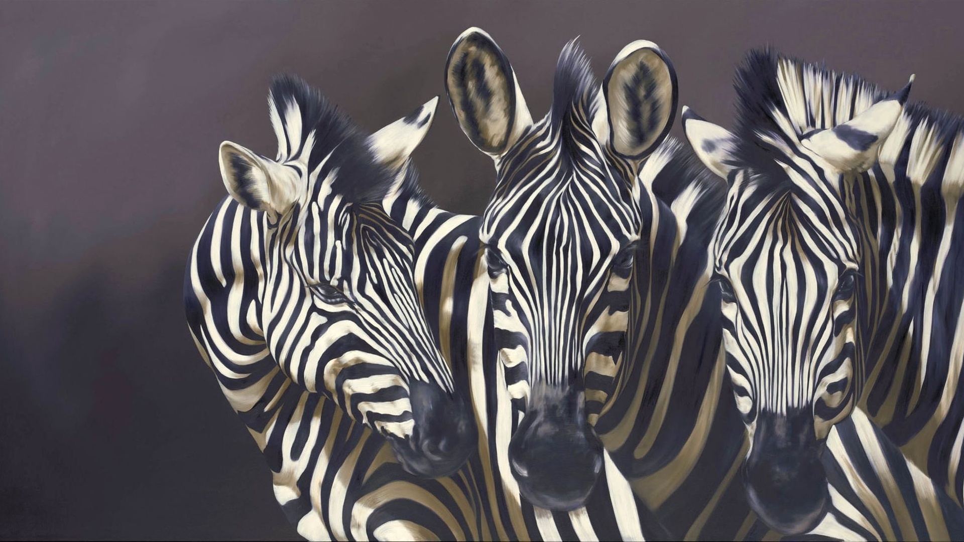 Zebra Art Wallpapers Hd - HD Wallpaper 