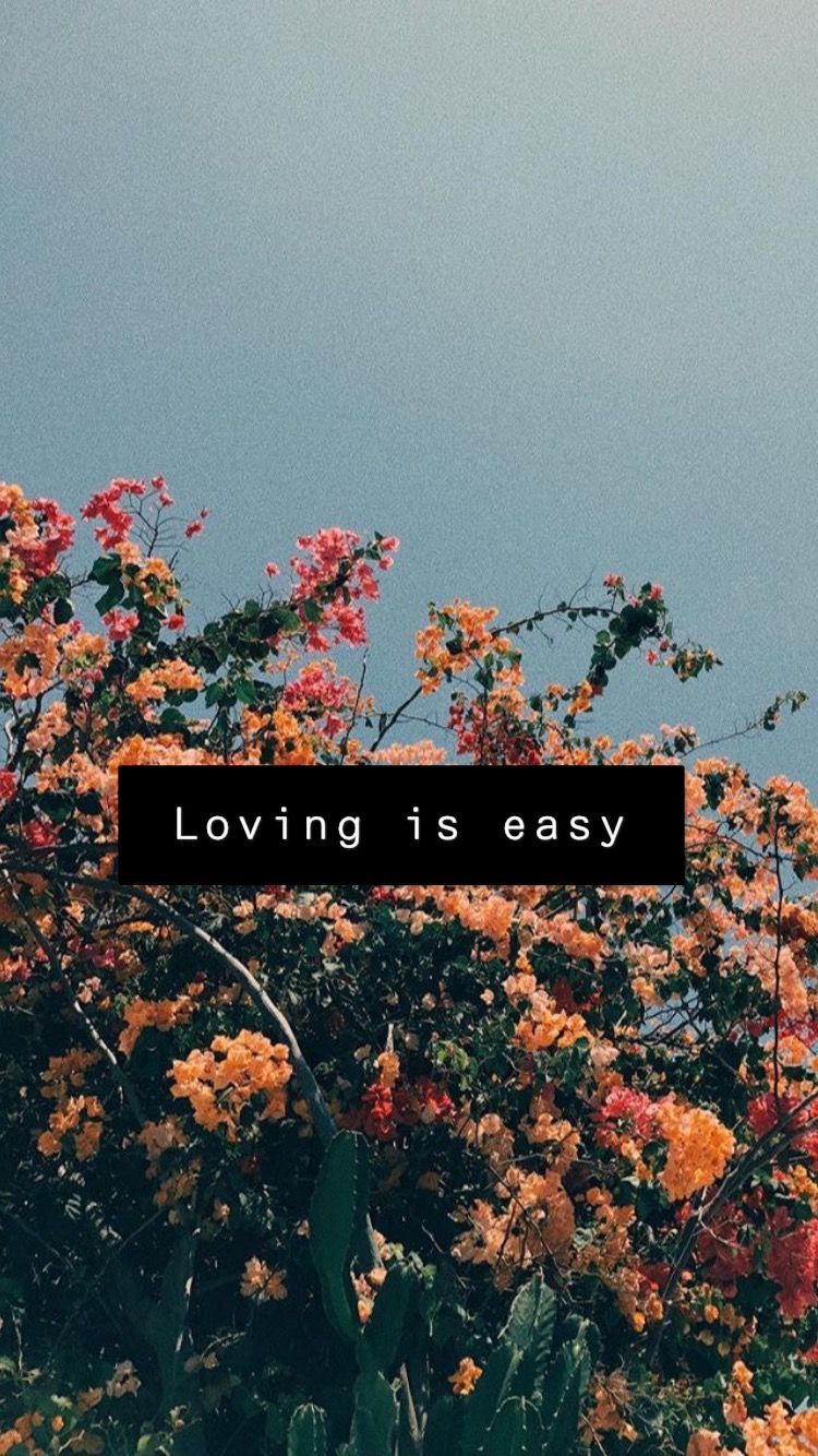 Rex Orange County Wallpaper Hd - HD Wallpaper 