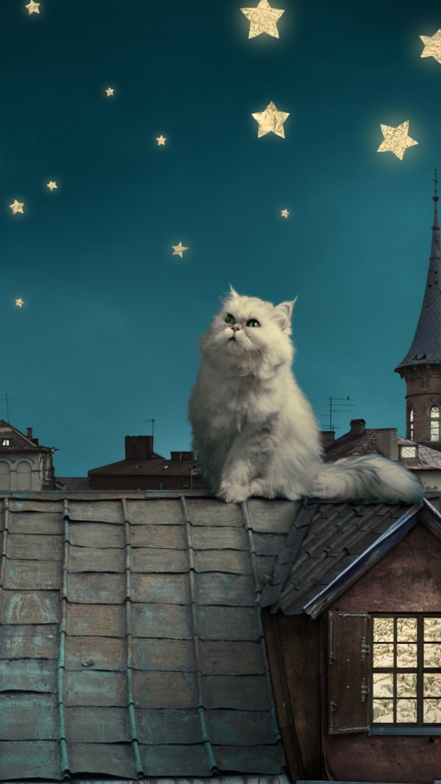 Fairy Wallpaper For Mobile - HD Wallpaper 