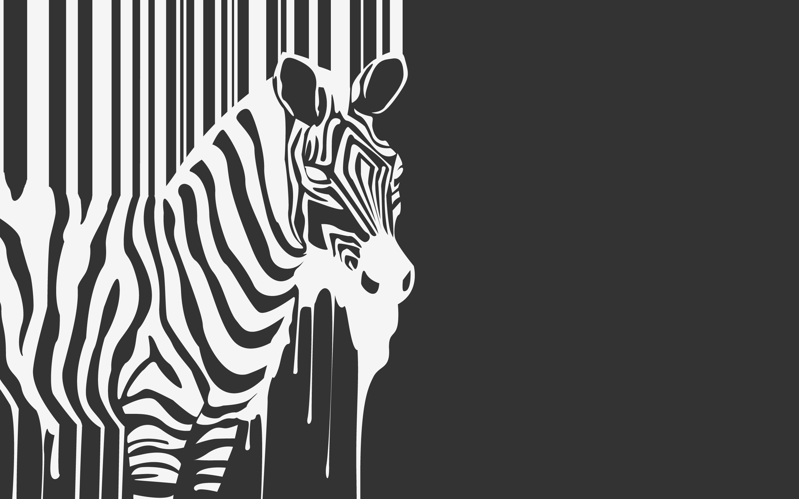 Creative Zebra Background - HD Wallpaper 