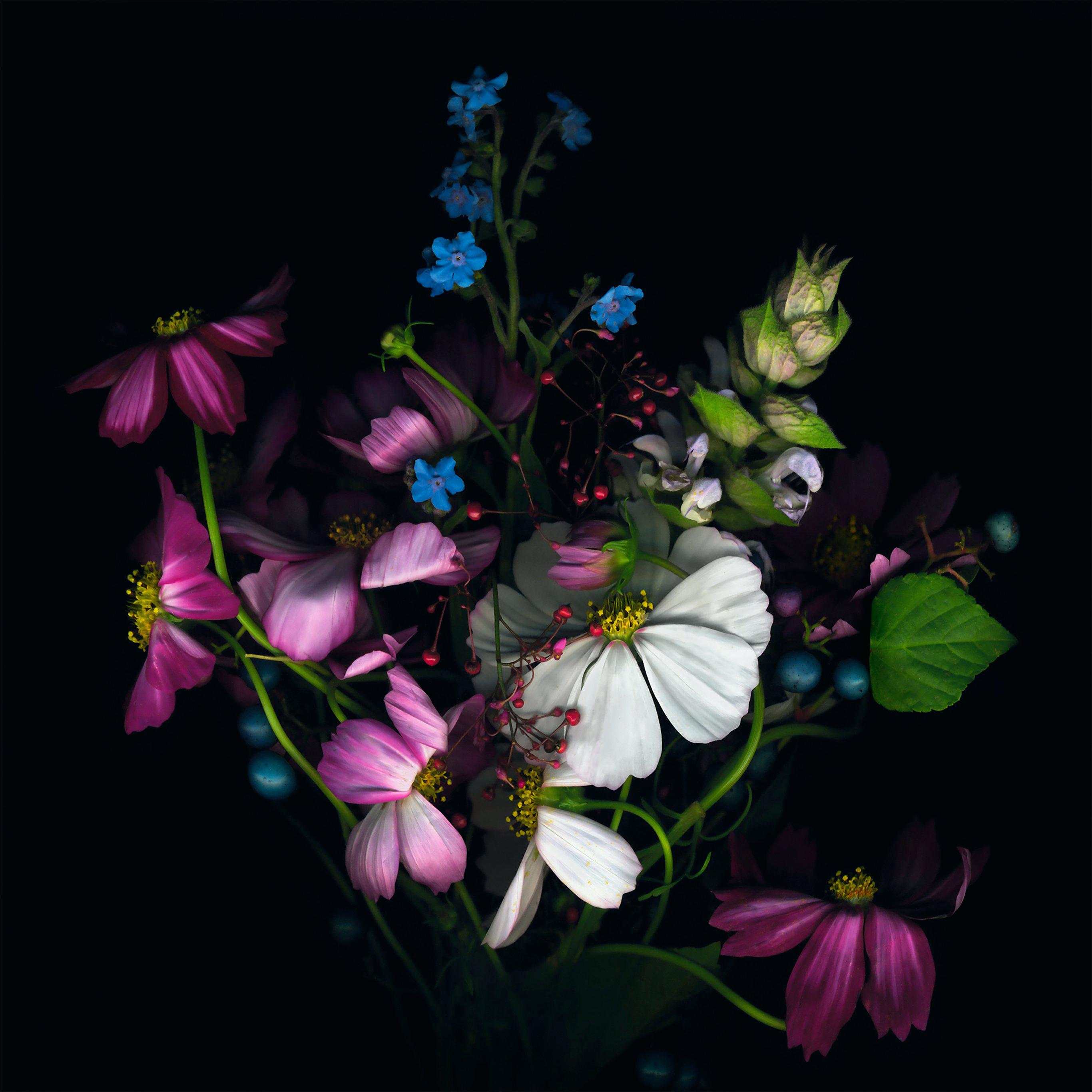 Iphone Flower Wallpaper Hd - HD Wallpaper 