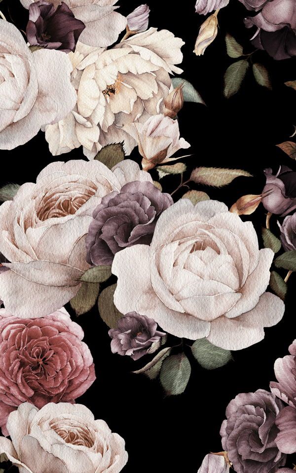 Black And Pink Peony - HD Wallpaper 