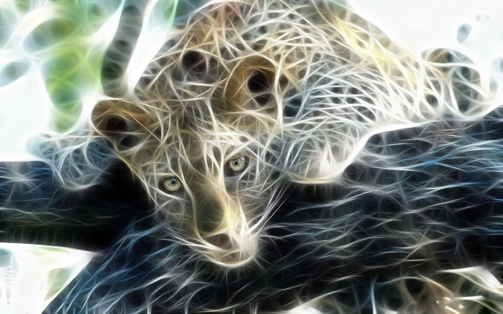 Snow Leopard Wallpaper Hd - Imágenes Abstractas De Animales - HD Wallpaper 