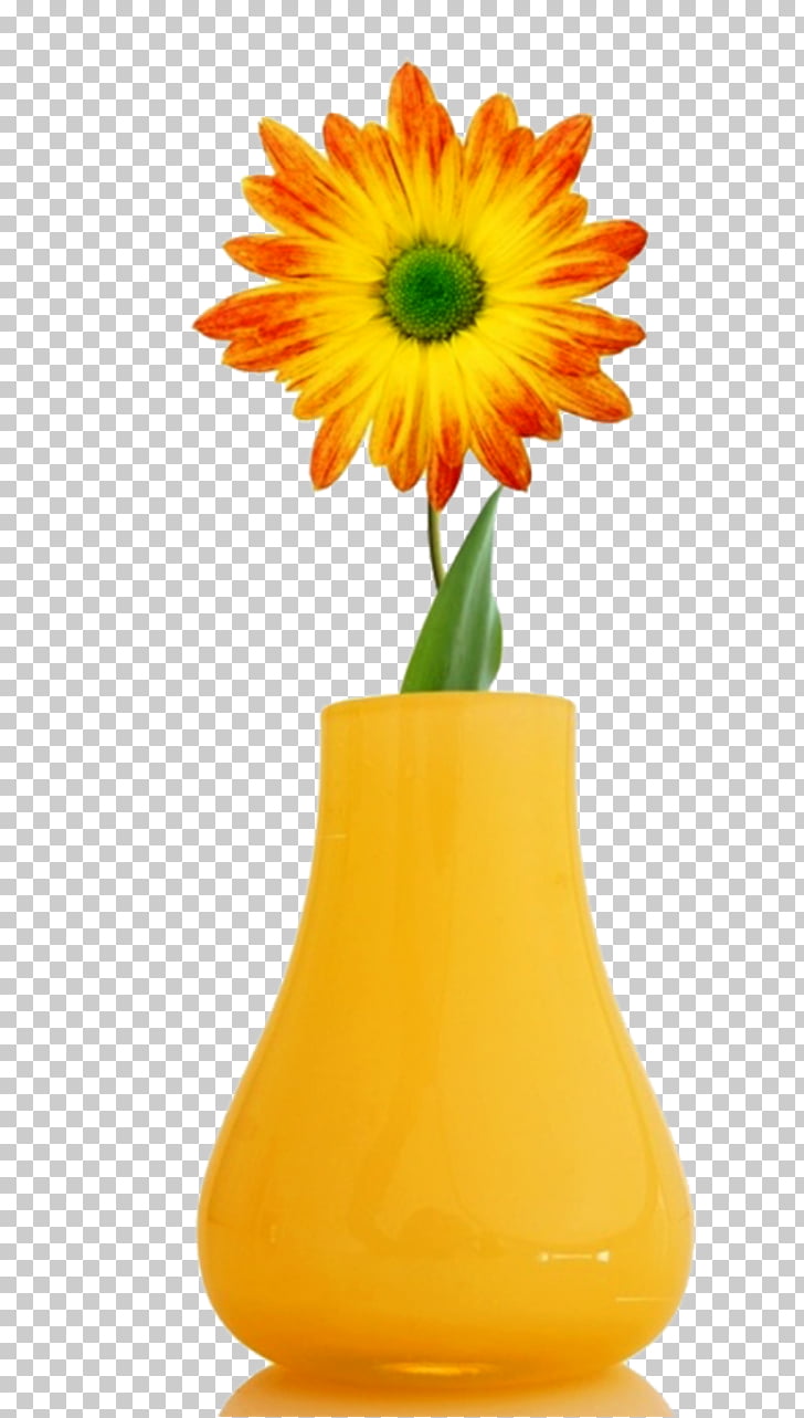 Sunflower Hd Wallpaper 1080p - HD Wallpaper 