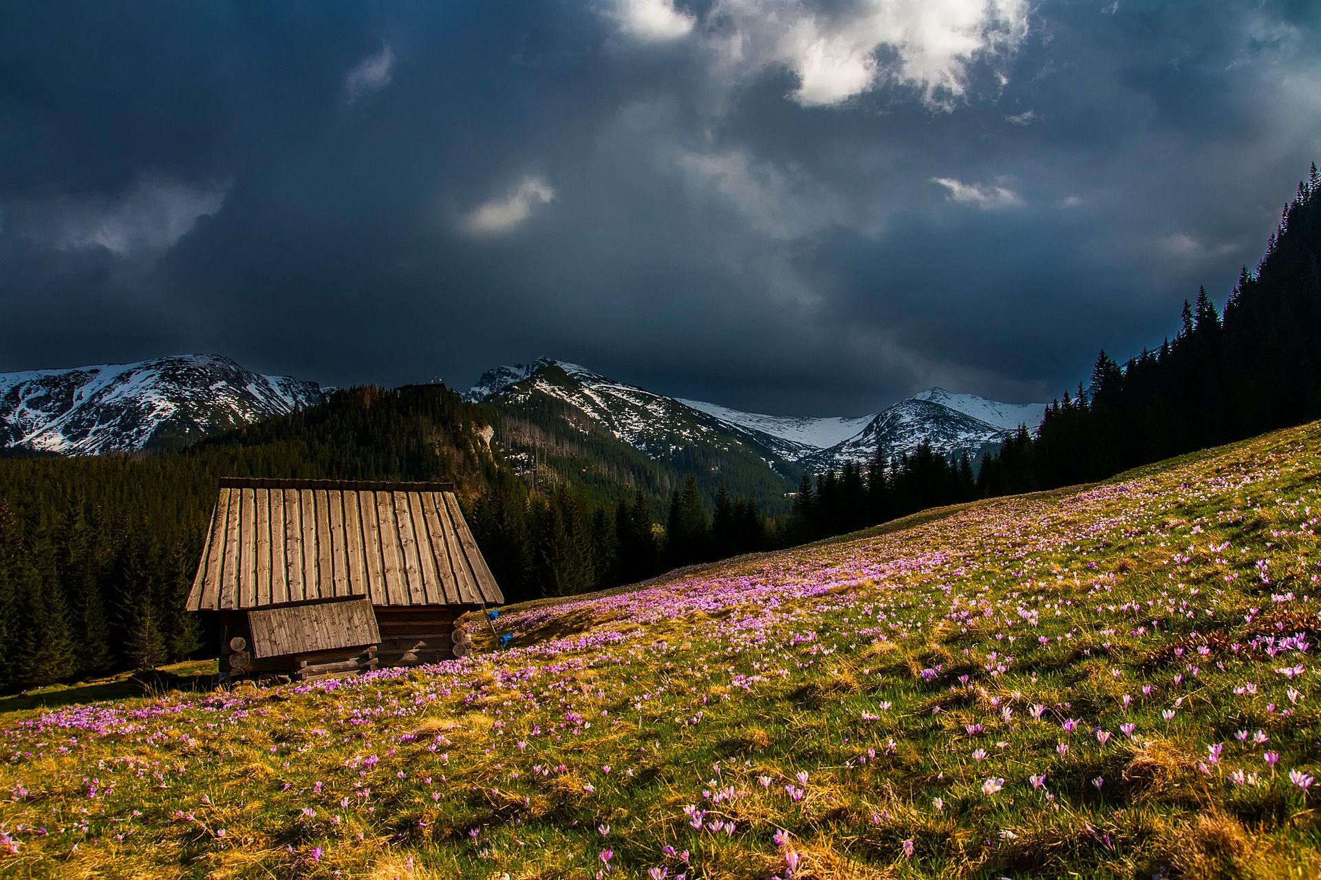 River Valley Of Flower Hd Wallpaper With Natural View - Mountain Hut Rustic - HD Wallpaper 