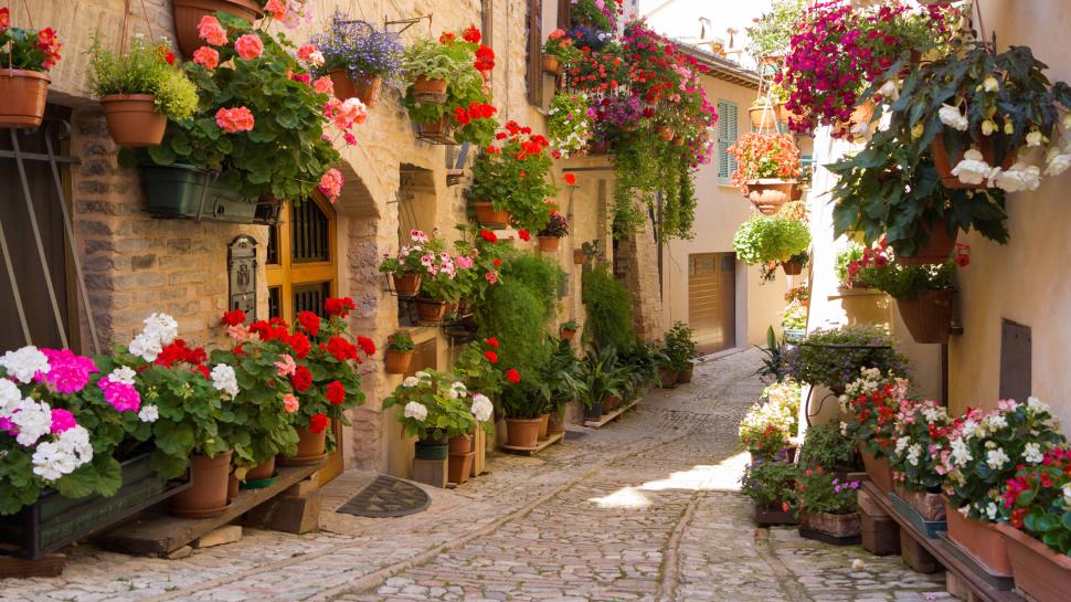 City, Beautiful Streets, Street, Flowers, Greece Wallpaper,greece - Greece Wallpaper Hd 1080p - HD Wallpaper 