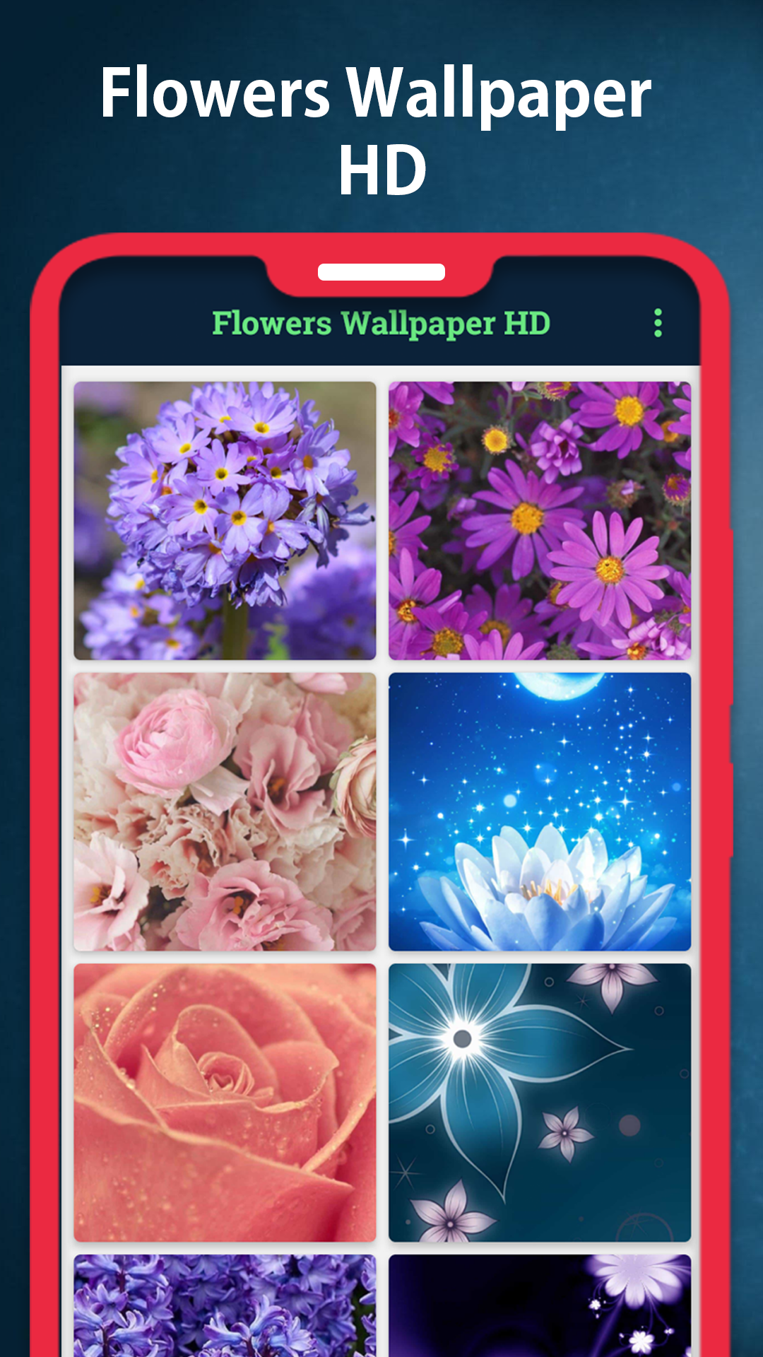 Floribunda - HD Wallpaper 