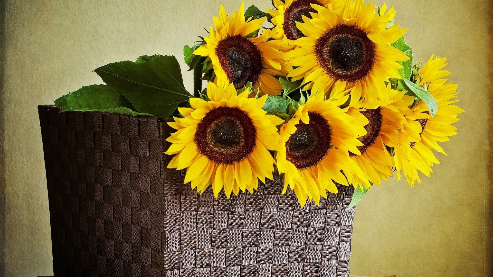 Sun Flowers Pot - HD Wallpaper 