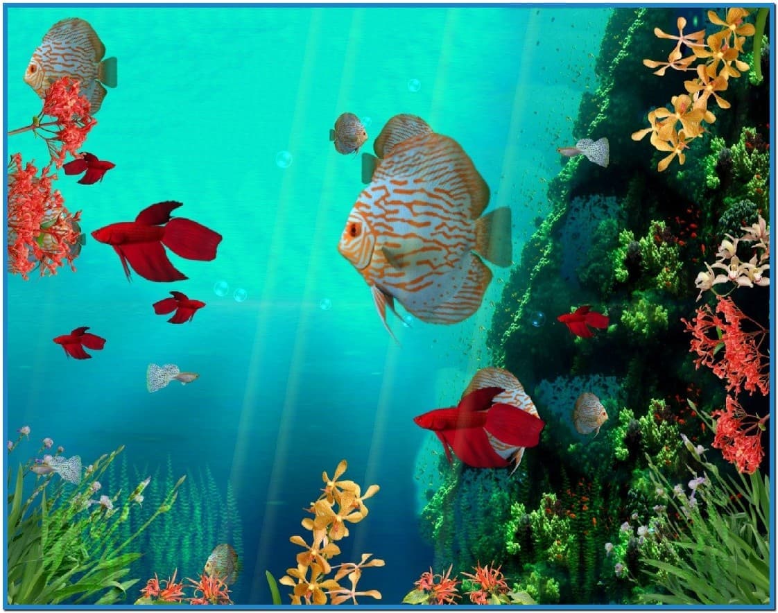 Screensaver Wallpaper Download - Animated Wallpaper Fish - 1122x884  Wallpaper 